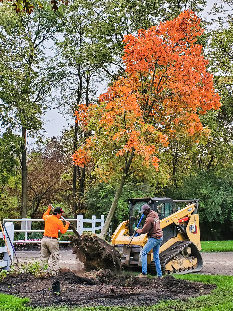 Peabody crew planting a tree with compact equipment